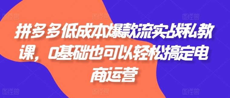 拼多多低成本爆款流实战私教课,0基础也可以轻松搞定电商运营-开心分享网