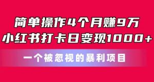 简单操作4个月赚9w,小红书打卡日变现1k,一个被忽视的暴力项目【揭秘】-开心分享网