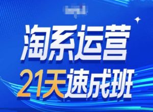 淘系运营24天速成班第28期最新万相台无界带免费流量-开心分享网