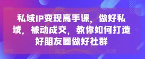 私域IP变现高手课,做好私域,被动成交,教你如何打造好朋友圈做好社群-开心分享网