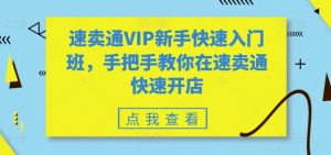速卖通VIP新手快速入门班,手把手教你在速卖通快速开店-开心分享网