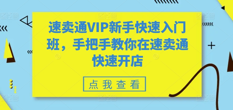 速卖通VIP新手快速入门班,手把手教你在速卖通快速开店-开心分享网