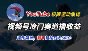 视频号冷门赛道撸收益，YouTube搬运极限运动集锦，暴力起号，操作简单流量高，轻松日入5张【揭秘】-开心分享网
