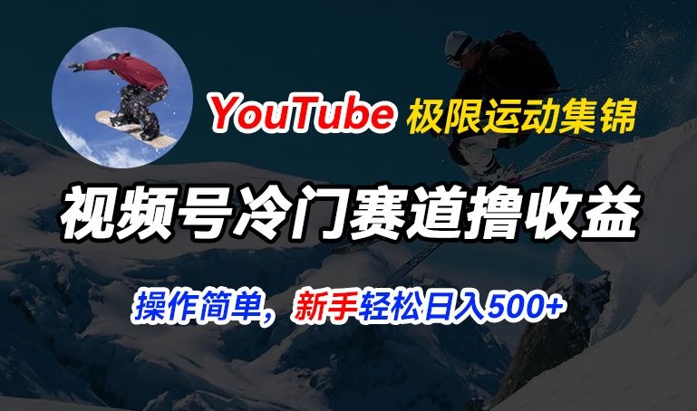 视频号冷门赛道撸收益,YouTube搬运极限运动集锦,暴力起号,操作简单流量高,轻松日入5张【揭秘】-开心分享网