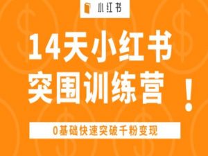 14天小红书突围训练营 ,0基础快速突破千粉变现-开心分享网