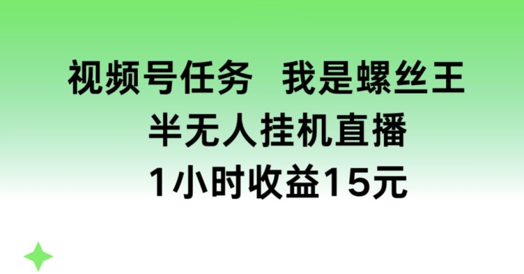 视频号任务，我是螺丝王， 半无人挂机1小时收益15元【揭秘】-开心分享网
