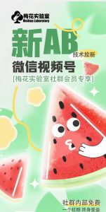梅花实验室2024年AB技术视频号AB合成破解版-开心分享网