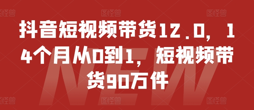 抖音短视频带货12.0,14个月从0到1,短视频带货90万件-开心分享网