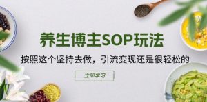 养生博主SOP玩法，按照这个坚持去做，引流变现还是很轻松的-开心分享网