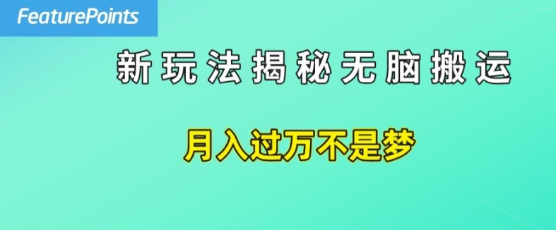 简单操作，每天50美元收入，搬运就是赚钱的秘诀【揭秘】-开心分享网