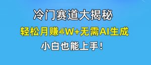 冷门赛道大揭秘,轻松月赚1W+无需AI生成,小白也能上手【揭秘】-开心分享网