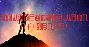如何从做项目变成卖项目,从月收入几千到月入几万【揭秘】-开心分享网