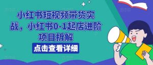 小红书短视频带货实战,小红书0-1起店进阶项目拆解-开心分享网