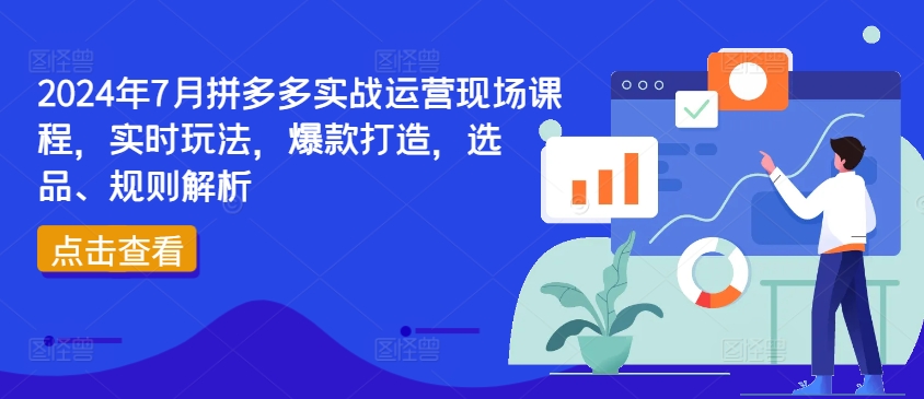 2024年7月拼多多实战运营现场课程,实时玩法,爆款打造,选品、规则解析-开心分享网