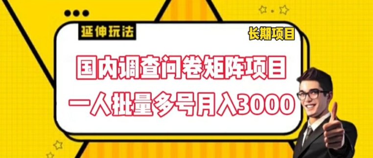 国内调查问卷矩阵项目,一人批量多号月入3000【揭秘】-开心分享网