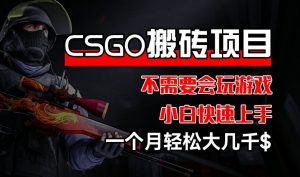 CSGO 装备搬砖项目,操作简单,不需要会玩游戏,小白也能快速上手,一个月轻松大几千【揭秘】-开心分享网