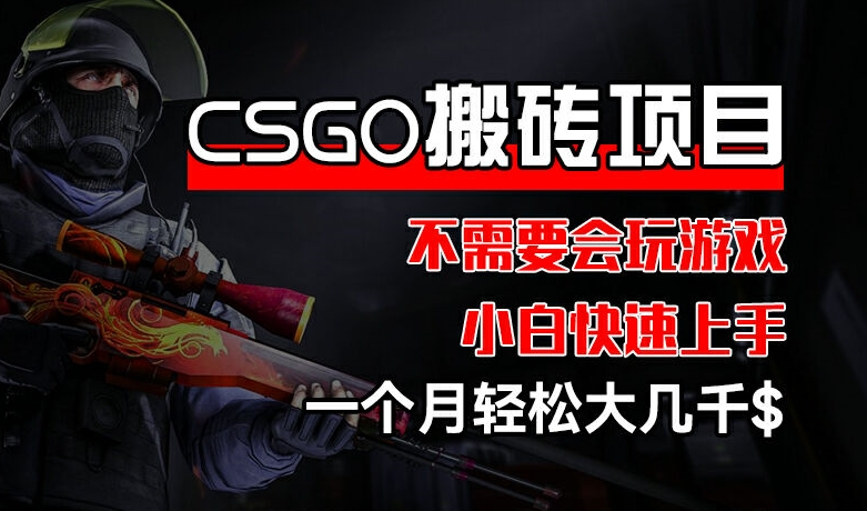 CSGO 装备搬砖项目,操作简单,不需要会玩游戏,小白也能快速上手,一个月轻松大几千【揭秘】-开心分享网