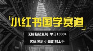 小红书国学赛道,无脑粘贴复制,单日1K,实操演示,小白即刻上手【揭秘】-开心分享网