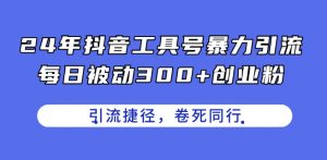24年抖音工具号暴力引流,每日被动300+创业粉,创业粉捷径,卷死同行【揭秘】-开心分享网