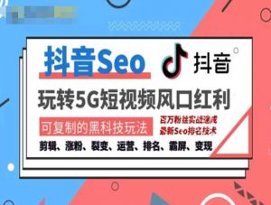 抖音SEO引流培训课程-抓住抖音风口,实现搜索排名,获取精准流量,快速成交变现-开心分享网