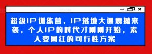 超级IP训练营,IP落地大课震撼来袭,个人IP的时代才刚刚开始,素人变网红的可行性方案-开心分享网