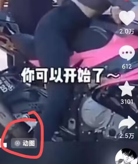 2024年7月苹果手机动图搬运技术-开心分享网