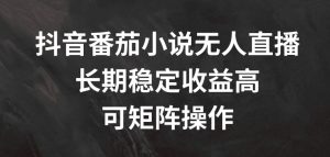 抖音番茄小说无人直播，长期稳定收益高，可矩阵操作【揭秘】-开心分享网