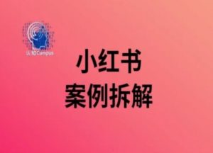 小红书案例拆解,深度解读小红书40万粉-开心分享网