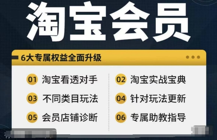淘宝会员【淘宝所有课程,全面分析对手】,初级到高手全系实战宝典-开心分享网