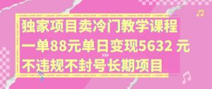 独家项目卖冷门教学课程一单88元单日变现5632元违规不封号长期项目【揭秘】-开心分享网