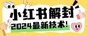 2024最新小红书账号封禁解封方法，无限释放手机号【揭秘】-开心分享网