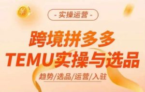 跨境拼多多TEMU实操与选品,多多temu跨境选品运营实操-开心分享网