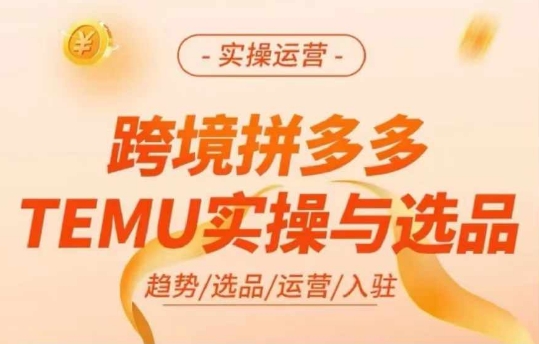 跨境拼多多TEMU实操与选品,多多temu跨境选品运营实操-开心分享网