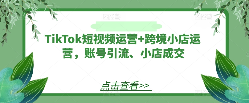 TikTok短视频运营+跨境小店运营,账号引流、小店成交-开心分享网
