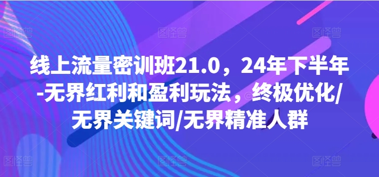 线上流量密训班21.0,24年下半年-无界红利和盈利玩法,终极优化/无界关键词/无界精准人群-开心分享网