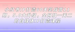 小红书IP打造60天实战营11期,5.0大升级,全网独一无二的自媒体IP打造课程-开心分享网