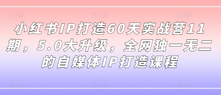 小红书IP打造60天实战营11期,5.0大升级,全网独一无二的自媒体IP打造课程-开心分享网