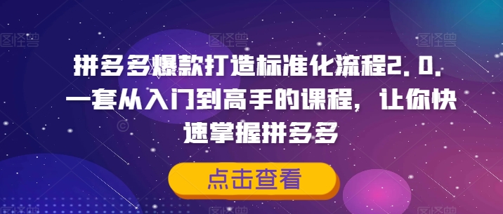 拼多多爆款打造标准化流程2.0,一套从入门到高手的课程,让你快速掌握拼多多-开心分享网