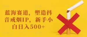 蓝海赛道,塑造抖音戒烟IP,新手小白日入500+【揭秘】-开心分享网