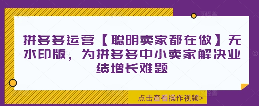 拼多多运营【聪明卖家都在做】无水印版,为拼多多中小卖家解决业绩增长难题-开心分享网