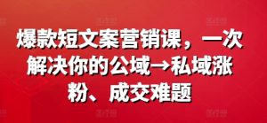 爆款短文案营销课,一次解决你的公域→私域涨粉、成交难题-开心分享网