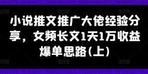 小说推文推广大佬经验分享,女频长文1天1万收益爆单思路(上)-开心分享网