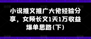 小说推文推广大佬经验分享,女频长文1天1万收益爆单思路(下)-开心分享网