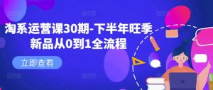 淘系运营课30期-下半年旺季新品从0到1全流程-开心分享网