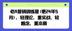 老A营销训练营(更24年7月),轻理论,重实战,轻概念,重本质-开心分享网