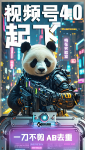 梅花实验窒微信视频号连怼玩法技巧起飞4.0一键AB破解版【揭秘】-开心分享网