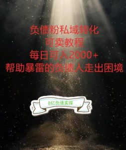 负债粉掘金计划,帮助负债者解决问题,债务规划,债务重组,最好的变现方式【揭秘】-开心分享网