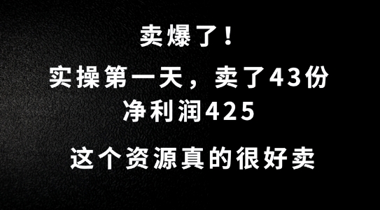 这个资源,需求很大,实操第一天卖了43份,净利润425【揭秘】-开心分享网