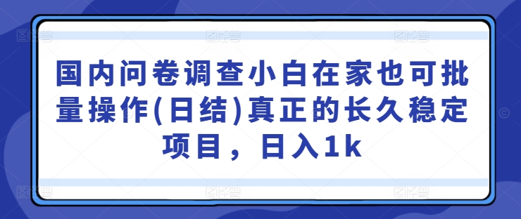 国内问卷调查小白在家也可批量操作(日结)真正的长久稳定项目,日入1k【揭秘】-开心分享网