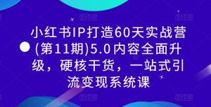小红书IP打造60天实战营(第11期)5.0内容全面升级,硬核干货,一站式引流变现系统课-开心分享网